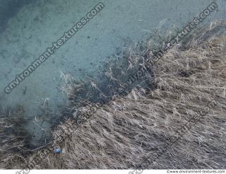 Photo Textures of Ground Grass Dead